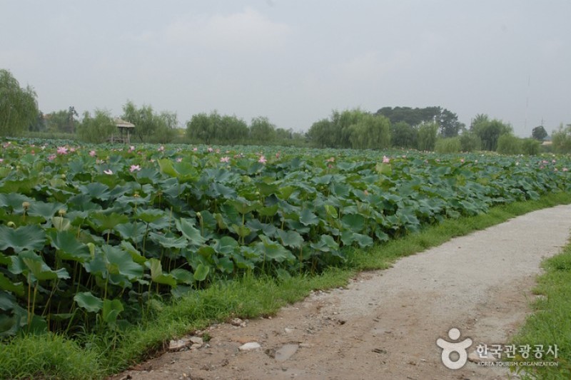 Seodong Park and Gungnamji Pond  (7/13)