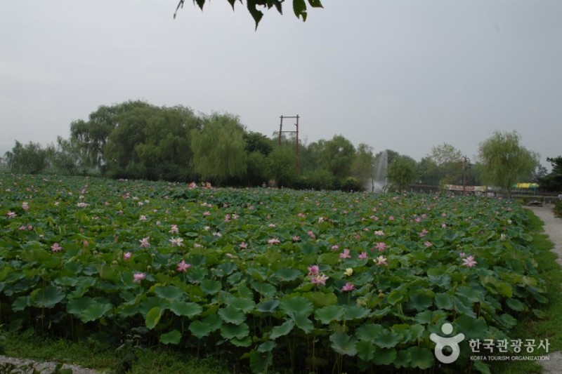 Seodong Park and Gungnamji Pond  (8/13)