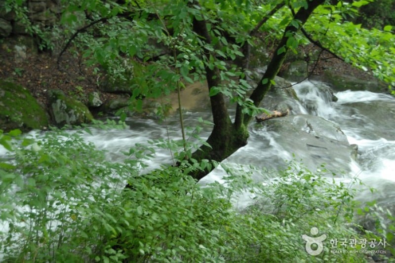 Gyeryongsan National Park  (8/11)