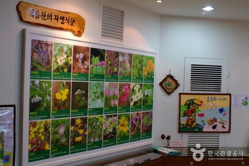 Gyeryongsan National Park  (10/11)