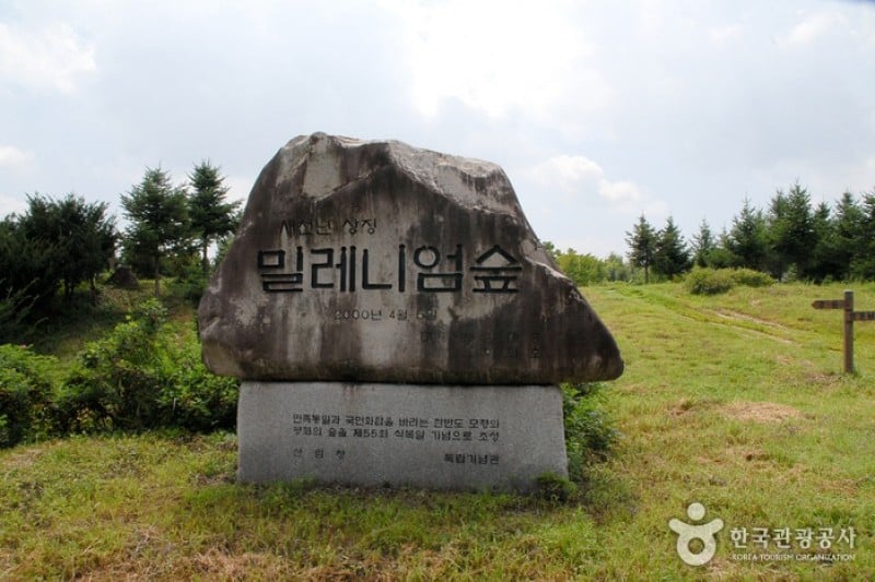The Independence Hall of Korea  (16/92)
