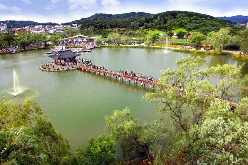 Buyeo Seodong Lotus Festival  (3/12)