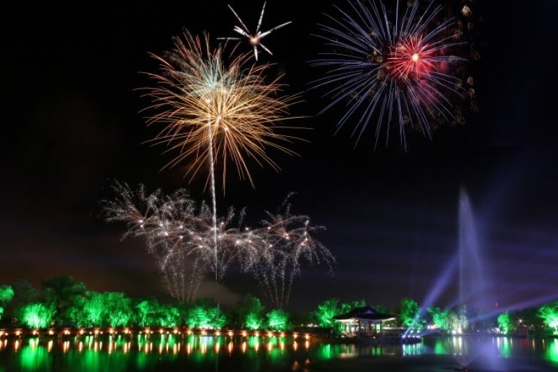 Buyeo Seodong Lotus Festival  (7/12)