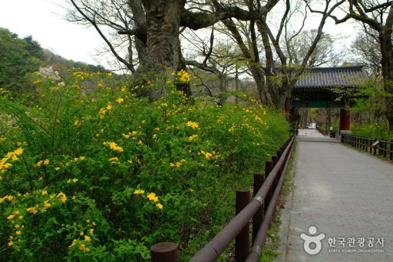 Gapsa Temple (갑사) (14/23)