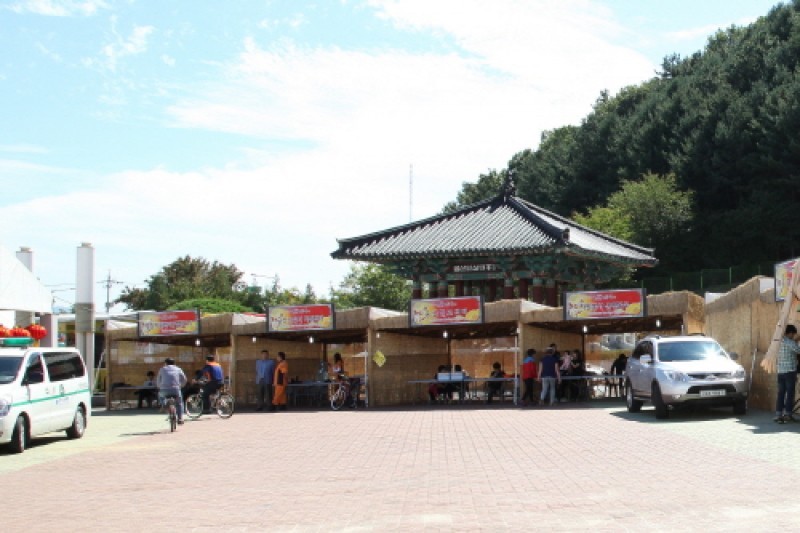 Geumsan Insam  (2/21)