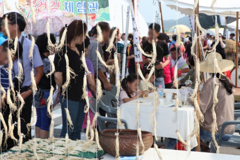 Geumsan Insam  (6/21)