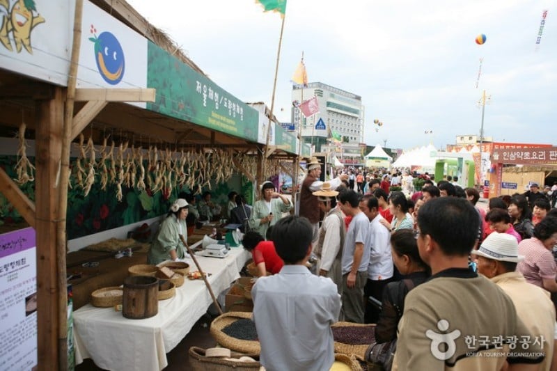 Geumsan Insam  (13/21)