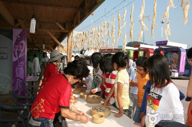 Geumsan Insam  (14/21)
