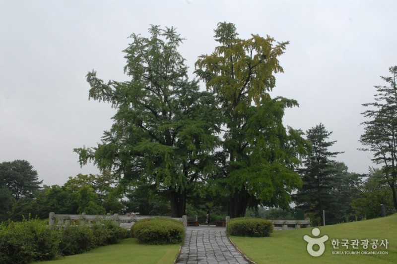 Hyeonchungsa Shrine  (17/38)