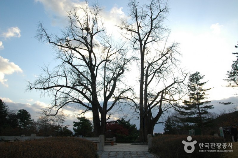 Hyeonchungsa Shrine  (37/38)