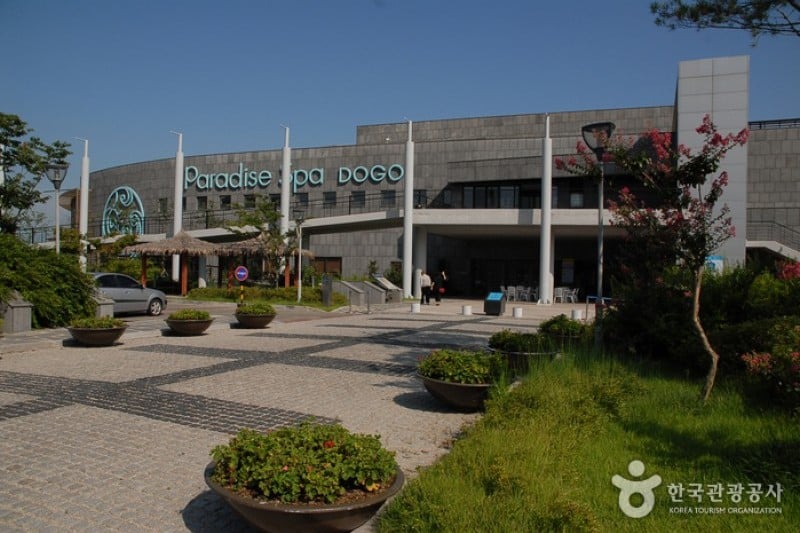 Paradise Spa Dogo  (2/4)