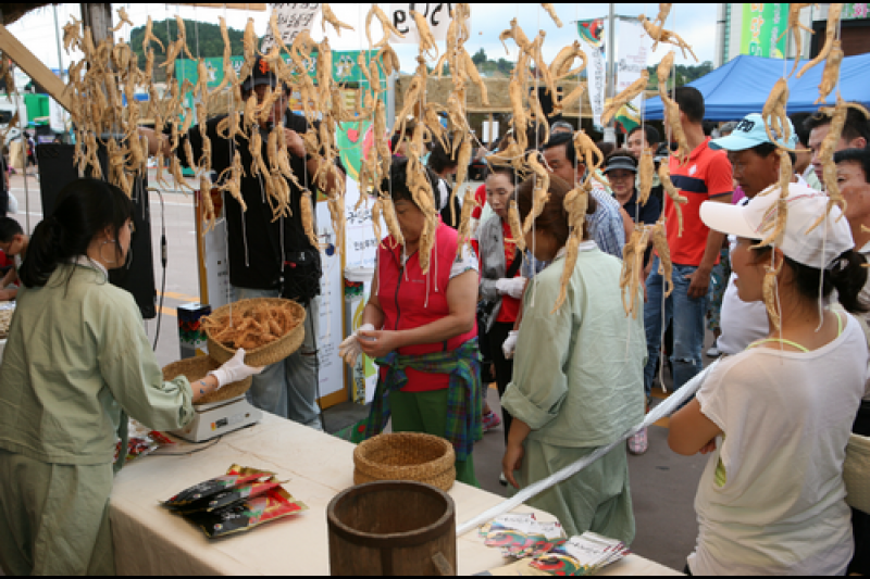 Geumsan Ginseng Market  (1/6)