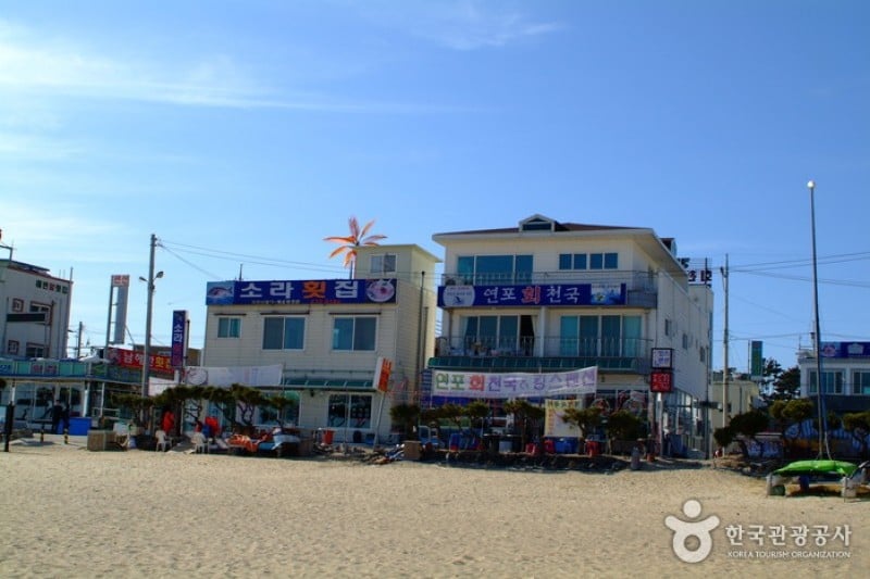 Yeonpo Beach  (1/6)