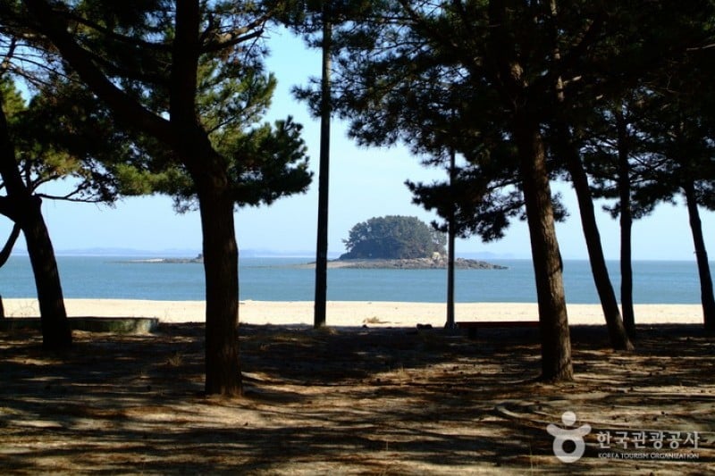 Yeonpo Beach  (4/6)
