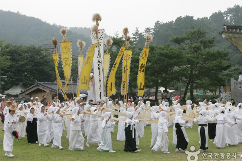 Hansan Ramie Fabric Cultural Festival  (5/17)
