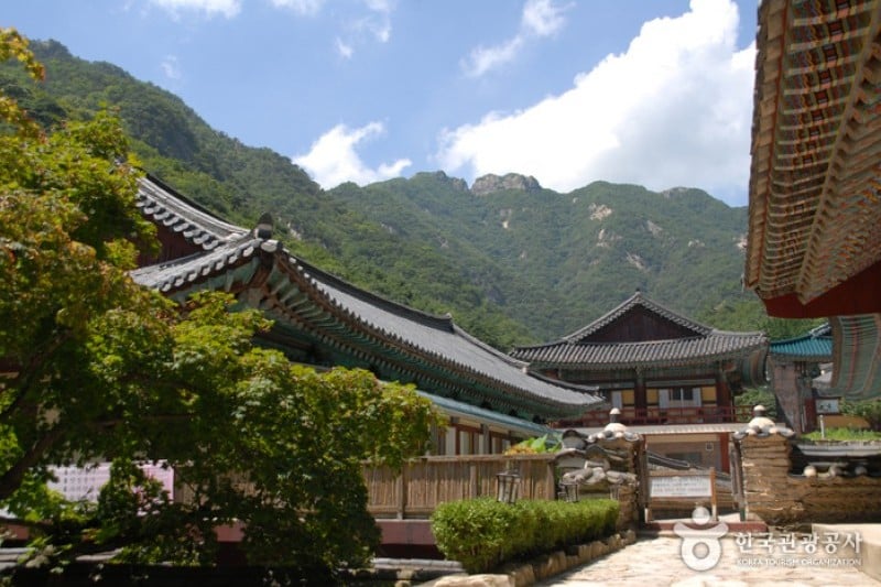 Donghaksa Temple  (3/24)