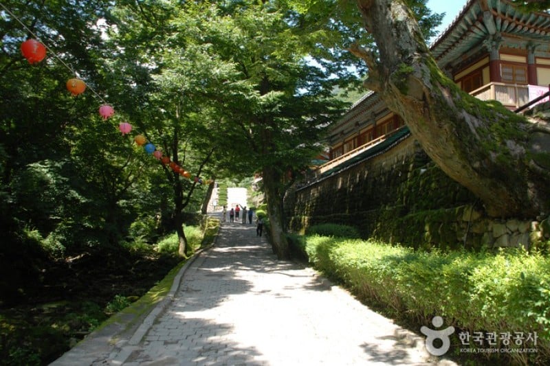 Donghaksa Temple  (5/24)