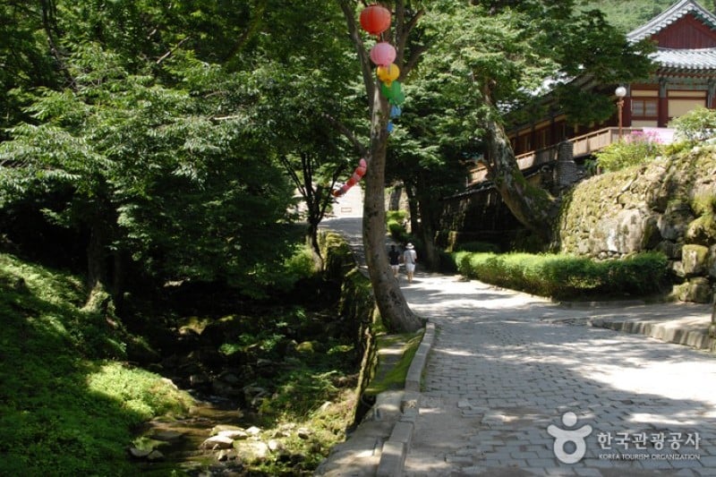 Donghaksa Temple  (6/24)