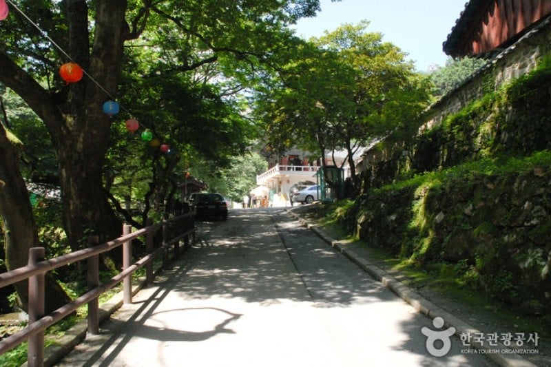 Donghaksa Temple  (7/24)