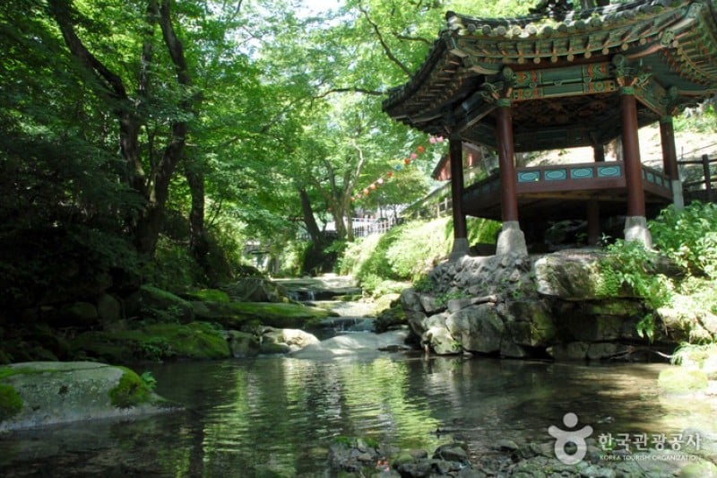 Donghaksa Temple  (8/24)