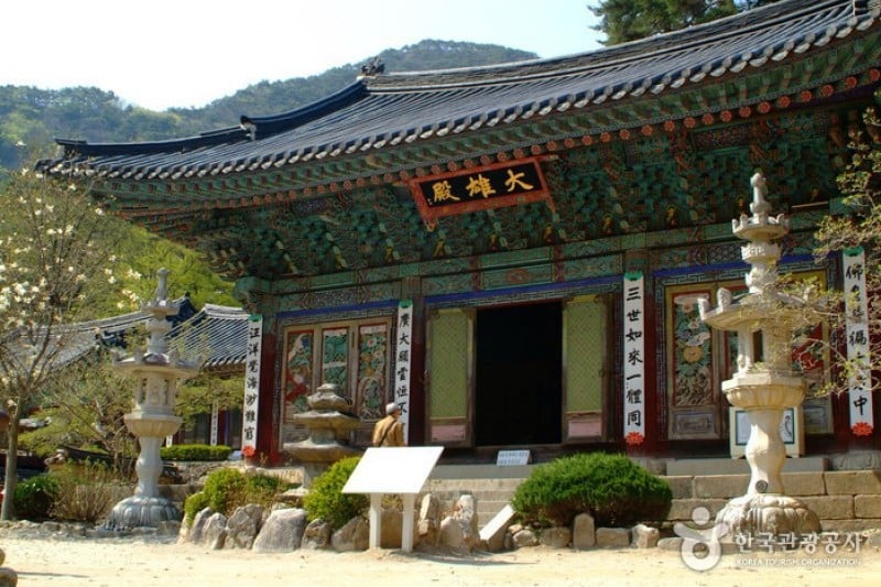 Donghaksa Temple  (22/24)