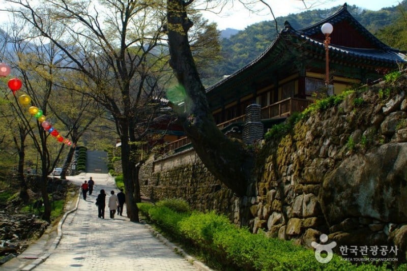 Donghaksa Temple  (24/24)