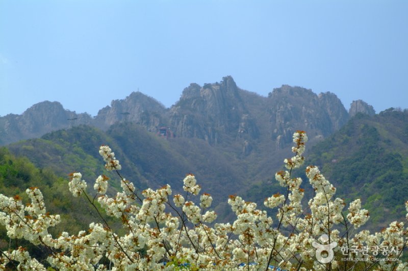 Daedunsan Provincial Park (Geumsan) (대둔산도립공원 - 금산) (9/36)