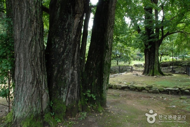 Asan Maengssi Haengdan House  (23/31)