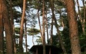 Anmyeondo Island Recreational Forest 