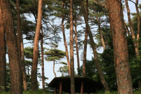 Anmyeondo Island Recreational Forest