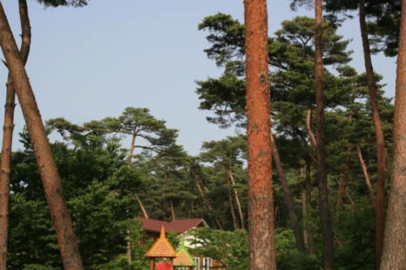 Anmyeondo Island Recreational Forest  (7/24)