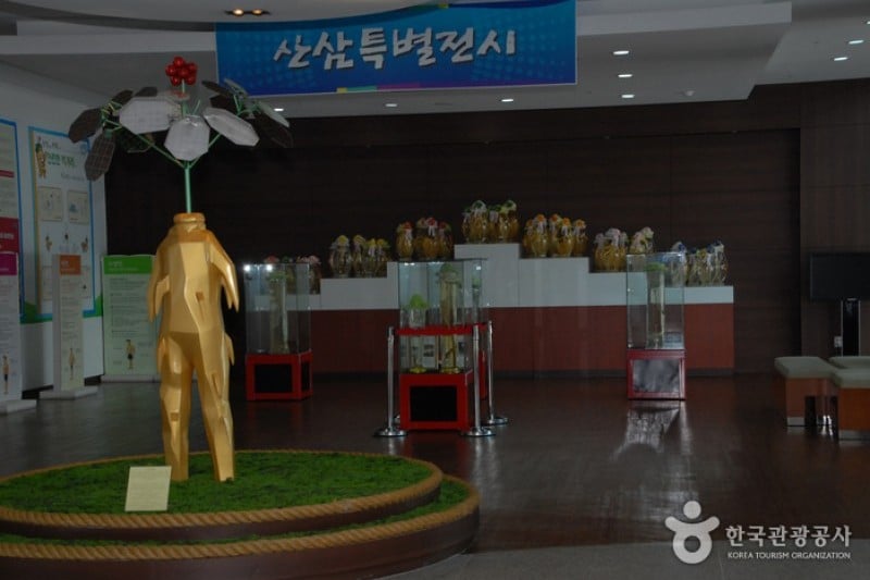 Geumsan Ginseng Museum  (2/20)