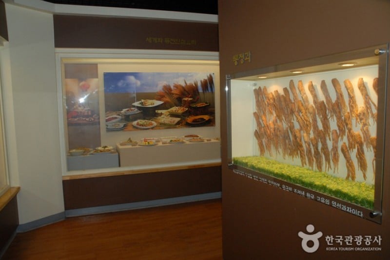 Geumsan Ginseng Museum  (6/20)