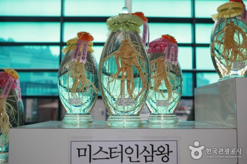 Geumsan Ginseng Museum  (11/20)