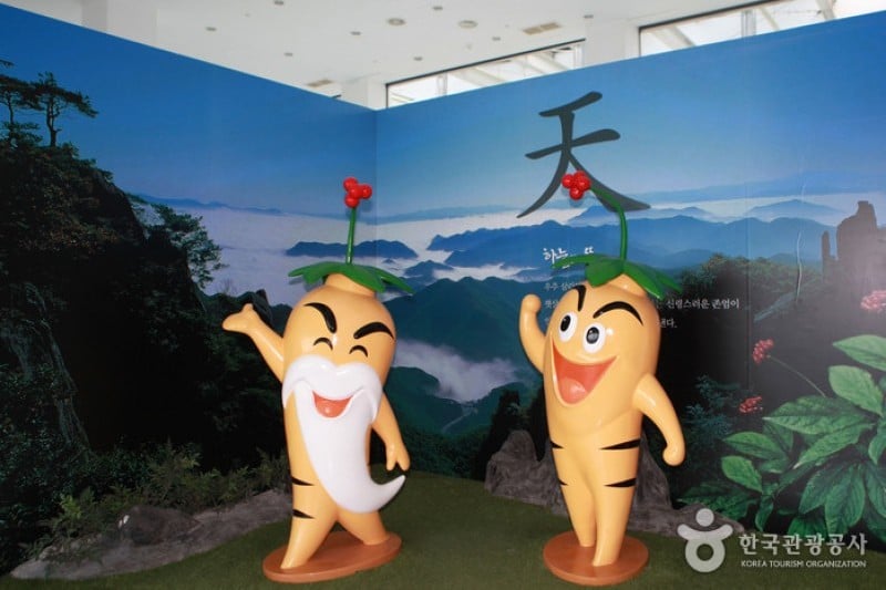 Geumsan Ginseng Museum  (13/20)