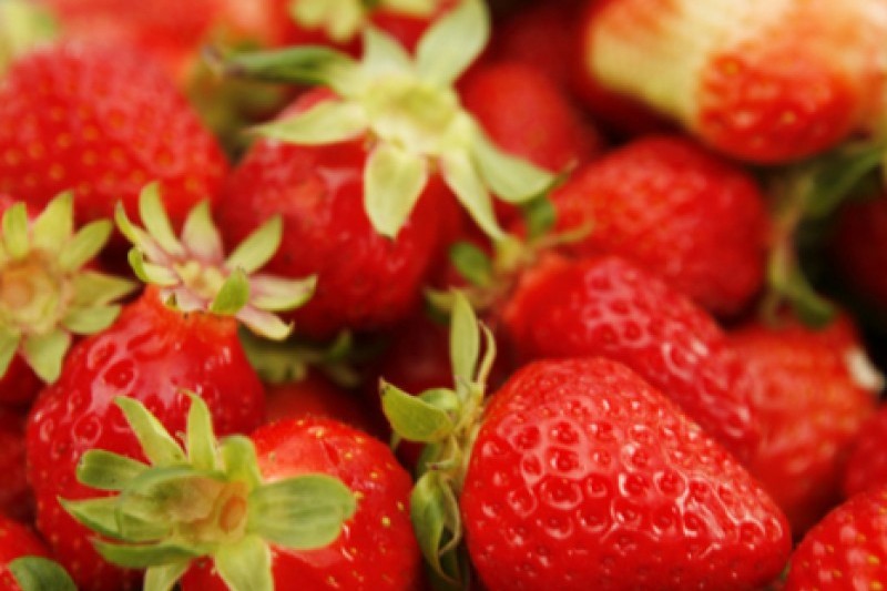 Nonsan Strawberry Festival  (5/5)