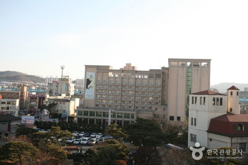 Palace Hotel Onyang  (1/17)