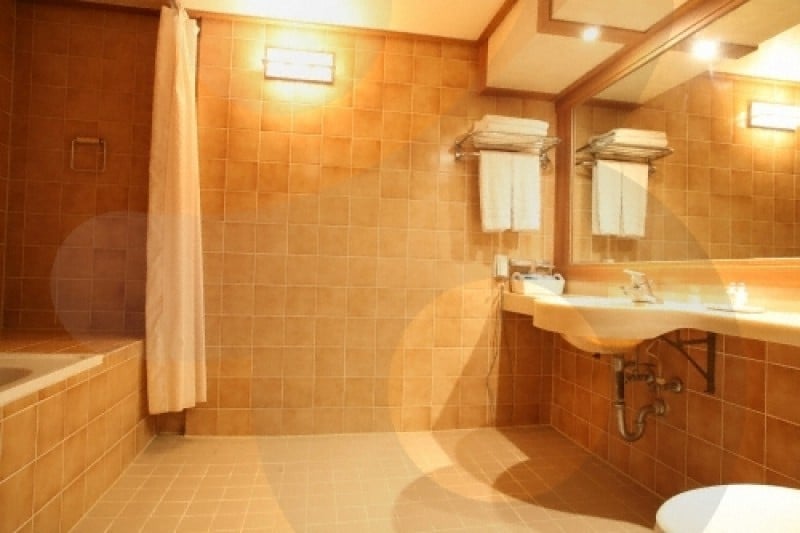 Palace Hotel Onyang  (7/17)
