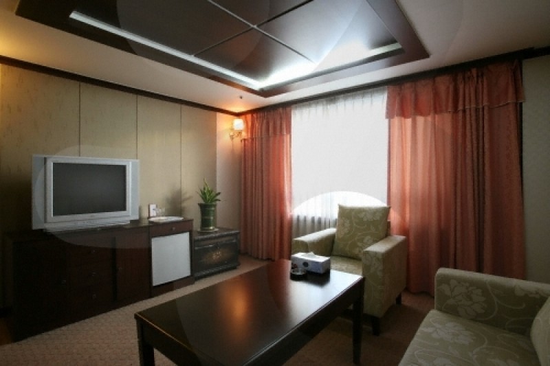 Palace Hotel Onyang  (14/17)