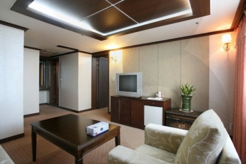Palace Hotel Onyang  (15/17)