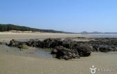 Sambong Beach 