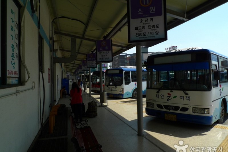 Taean Bus Terminal  (1/4)