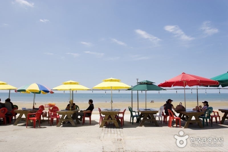 Mallipo Beach  (4/11)