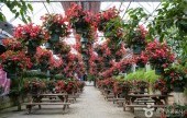 Asan Botanical Garden 