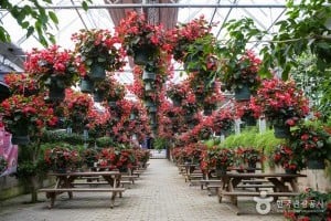 Asan Botanical Garden 