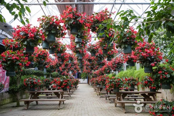 Asan Botanical Garden