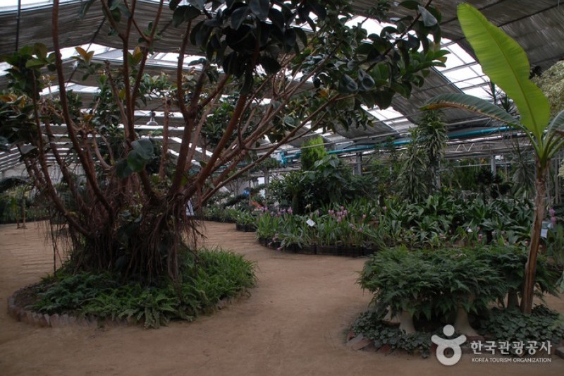 Asan Botanical Garden  (1/31)
