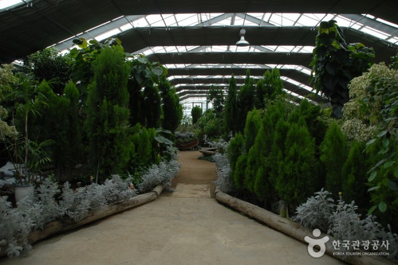 Asan Botanical Garden  (2/31)