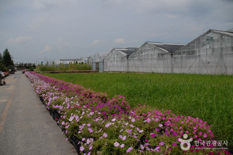 Asan Botanical Garden  (3/31)