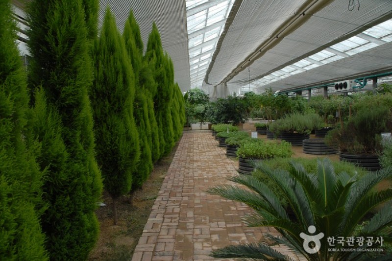 Asan Botanical Garden  (4/31)